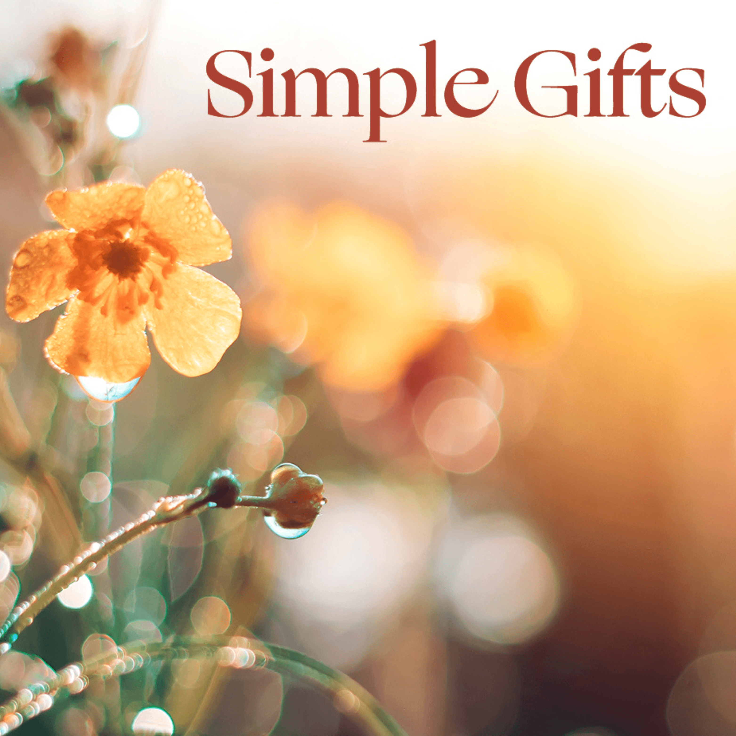 Minneapolis Christmas Vocal Ensemble Concerts